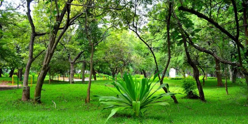 Fun Activities for Kids at Guindy National Park