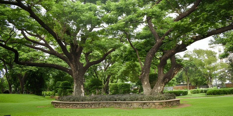 Semmozhi Poonga Botanical garden