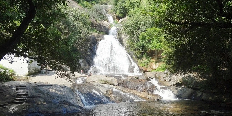 Monkey Falls Photos