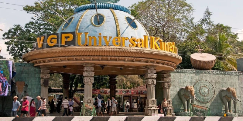 The VGP Universal Kingdom