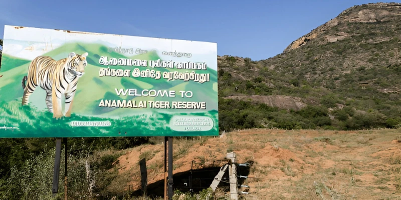 A Detailed Guide To Exploring Anamalai Tiger Reserve