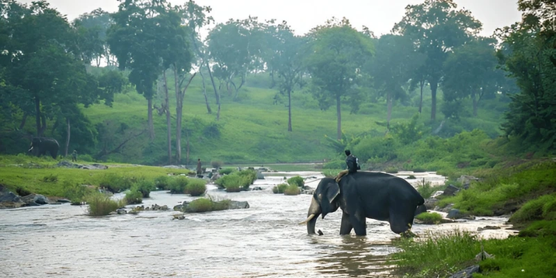 Topslip Mudumalai