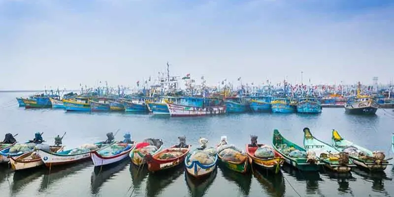 Exploring The Rich History Of Royapuram Fishing Harbour